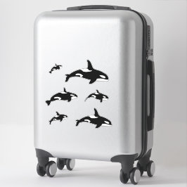 Orka Killer Whale Set Sticker