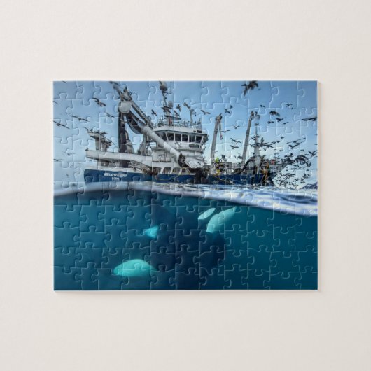 Orka Moordwalvis Commerciële Visserijboot Oceaan Legpuzzel (Horizontaal)