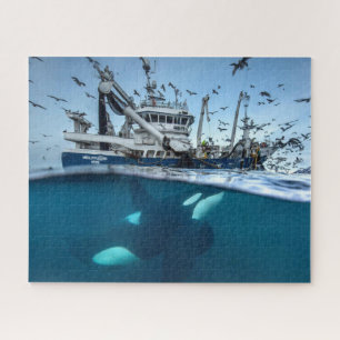 Orka Moordwalvis Commerciële Visserijboot Oceaan Legpuzzel
