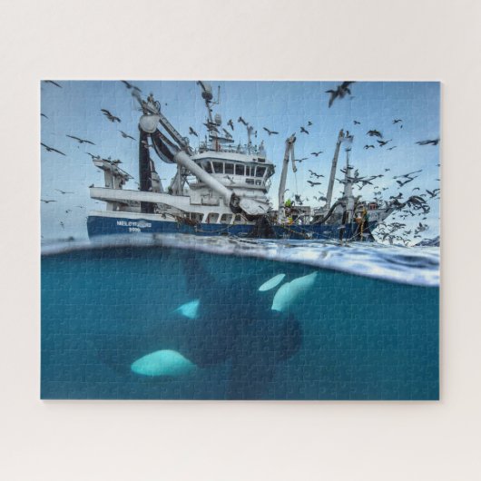 Orka Moordwalvis Commerciële Visserijboot Oceaan Legpuzzel (Horizontaal)