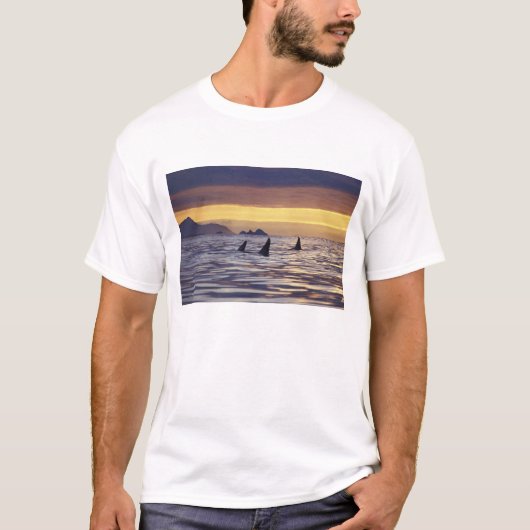 Orka of zwaardwalvis t-shirt (Voorkant)