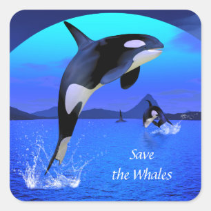 Orka Sticker