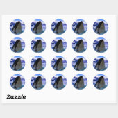 Orka Sticker/zeehonden Ronde Sticker (Vel)