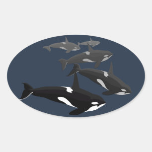Orka Stickers Killer Whale Stickers