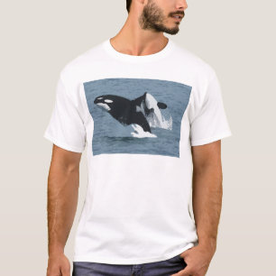 orka t-shirt
