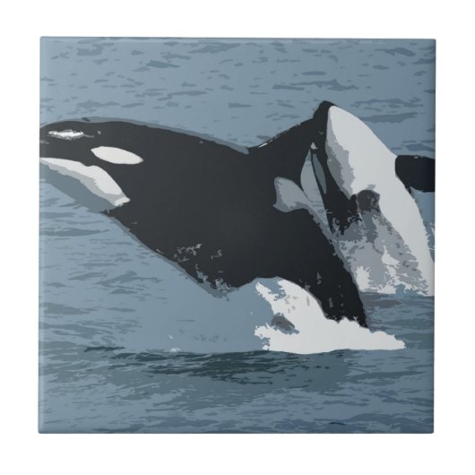 orka tegeltje (Voorkant)