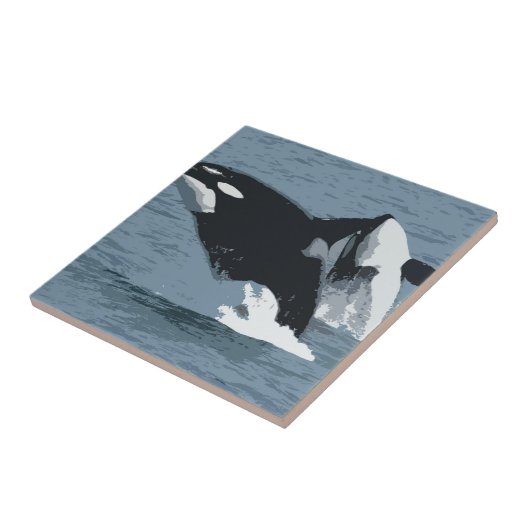 orka tegeltje (Zijkant)