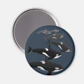 Orka Wal Koelkastmagneet Moordwal Kunst Magneten (Voorkant / Achterkant)