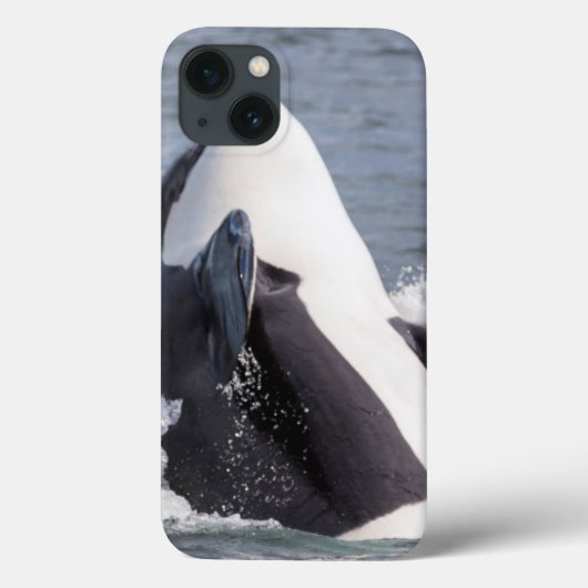 Orka walvis doorbreekt het wateroppervlak Case-Mate iPhone case (Achterkant)