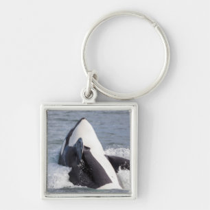 Orka walvis doorbreekt het wateroppervlak sleutelhanger