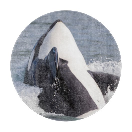 Orka walvis doorbreekt het wateroppervlak snijplank (Voorkant)