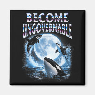 Orka walvis liefhebber zee oceaan dier wordt magneet