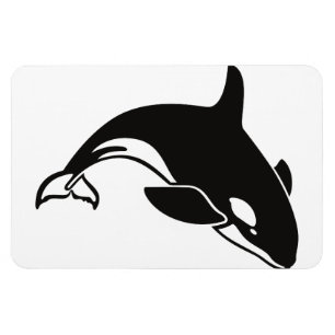 Orka Walvis Water Vrede Liefde Natuur Bestemming Magneet