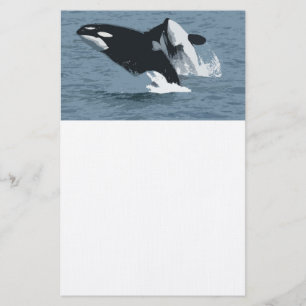 Orka Whale Briefpapier