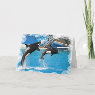 Orka Whales Wenskaart Kaart