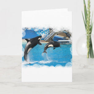Orka Whales Wenskaart Kaart
