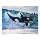 Orka wildlife waterverf fotoprint foto afdruk (Voorkant)