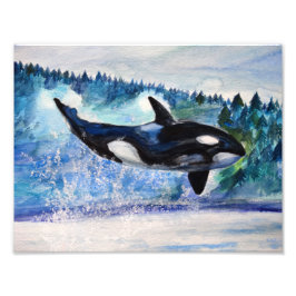 Orka wildlife waterverf fotoprint foto afdruk