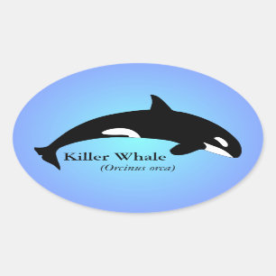 Orka Zwartvis Gradiënt Blauw Ovale Sticker
