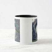 orkaan Charley 2 Mok (Midden)