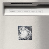 orkaan Elida Magneet (Insitu (Vaatwasser))