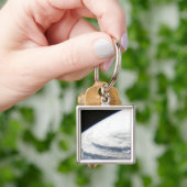 orkaan Ike 2 Sleutelhanger (Hand)