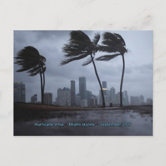 orkaan Irma Miami skyline Briefkaart (Voorkant)