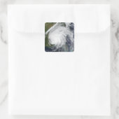 orkaan Ivan Vierkante Sticker (Tas)