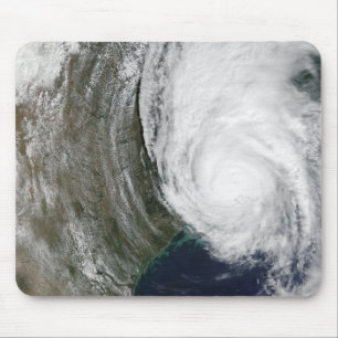 Orkaan Lili 2 Muismat