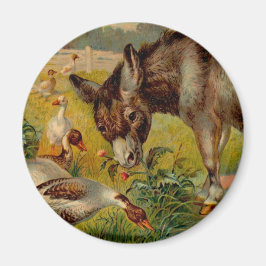  orkaan met ganzen magneet