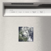 orkaan Paula Magneet (Insitu (Vaatwasser))