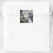 orkaan Paula Vierkante Sticker (Tas)