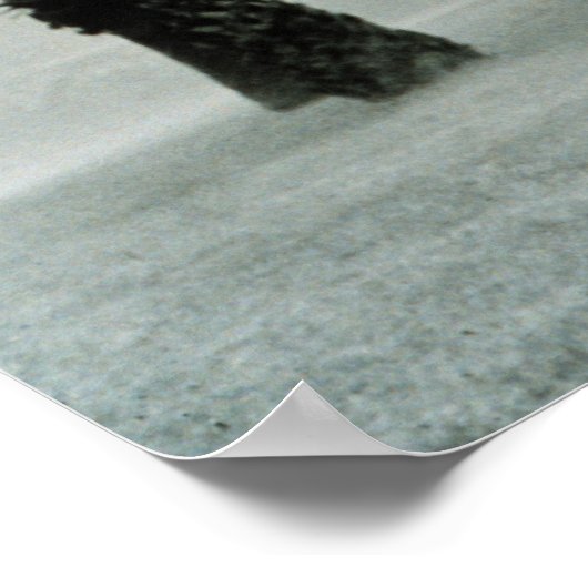 orkaan poster (Hoek)