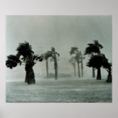 orkaan poster (Voorkant)