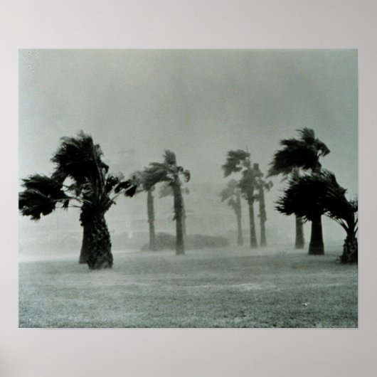 orkaan poster (Voorkant)