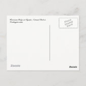 Orkaan Ridge in het briefkaart van het Nationaal P (Achterkant)