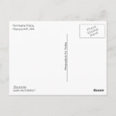 Orkaan Ridge (Olympic N.P.) met tekst Briefkaart (Achterkant)