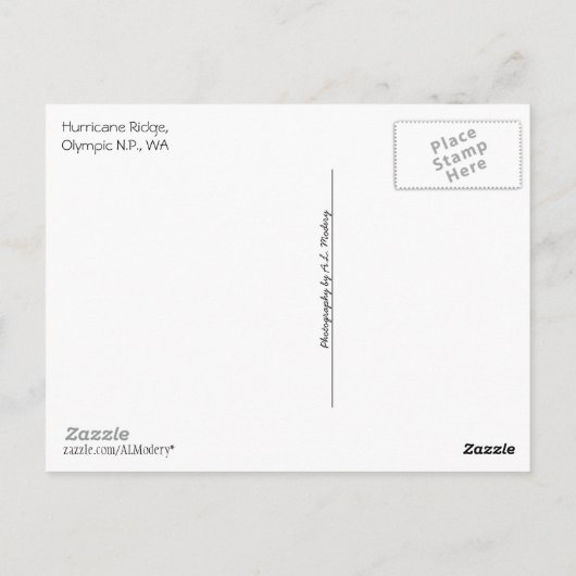 Orkaan Ridge (Olympic N.P.) met tekst Briefkaart (Achterkant)