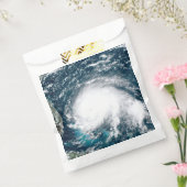 Orkaan voor de kust van Florida Bedankzakje (Gezegeld)