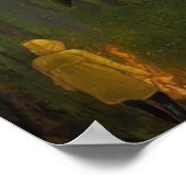 Orka's in een mystiek bos poster (Hoek)
