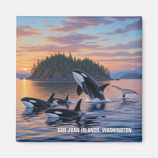 Orka's in Washington San Juan-eilanden reizen Magneet (Voorkant)