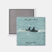 Orka's! Magneet (Voorkant / Achterkant)