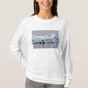 Orkas, Orcinus orca, groep T-shirt