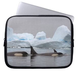 orka's, orcinus orca, peul laptop sleeve