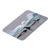 orka's, orcinus orca, peul magneet (Linkerzijde)