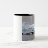 orka's, orcinus orca, peul tweekleurige koffiemok (Center)