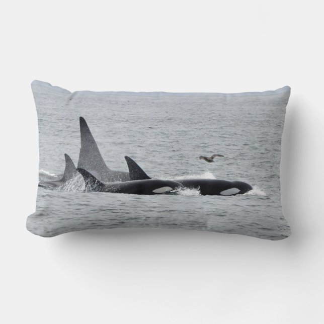 Orka's! Voor en achter! Kussen (Voorkant)