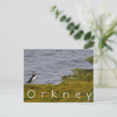 Orkney Puffin Briefkaart (Staand voorkant)
