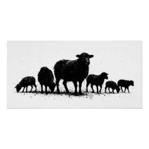 Orkney Schapen — Inkt Silhouet Kudde Perfect Poster