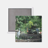 Orlando Florida Magnet (Voorkant / Achterkant)